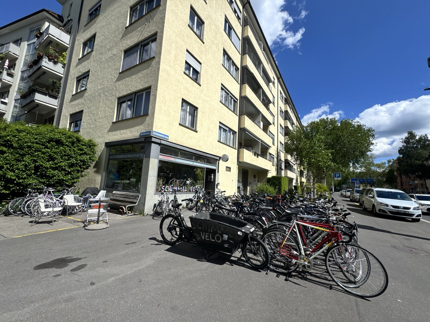 Schimmel Velo